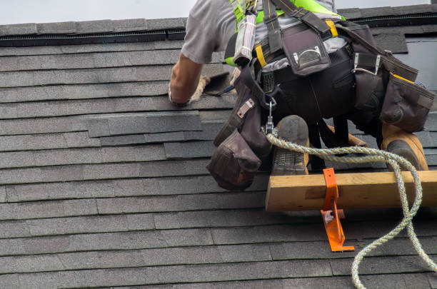 Best Storm Damage Roof Repair  in Mount Pulaski, IL