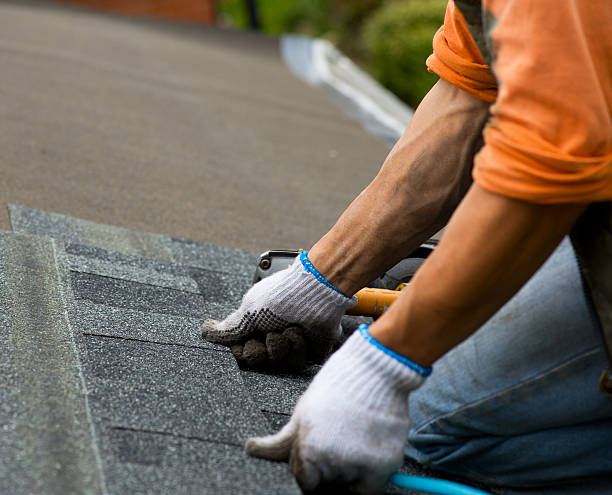 Professional Roofing Contractor in Mount Pulaski, IL